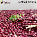 Bulk dark red kindey bean for sale pulses